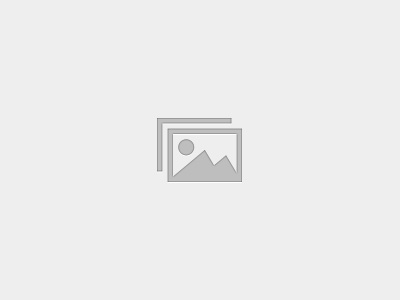 Mergers and Alliances