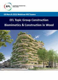 Efl biomimetics construction in wood