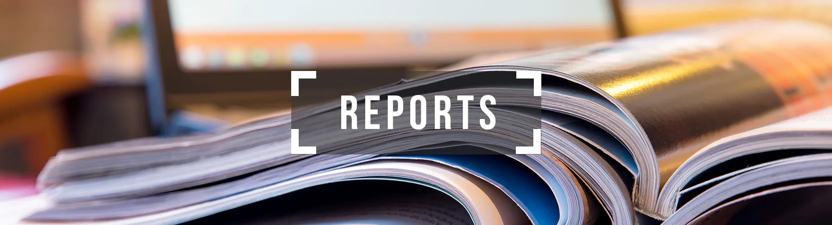 Efl brochures banner