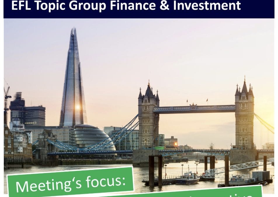 Meet in London at the EFL Topic Group Finance & Investments 14-15 October